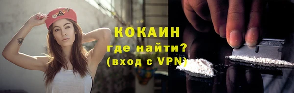твердый Аркадак