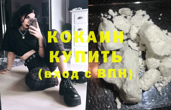 твердый Аркадак